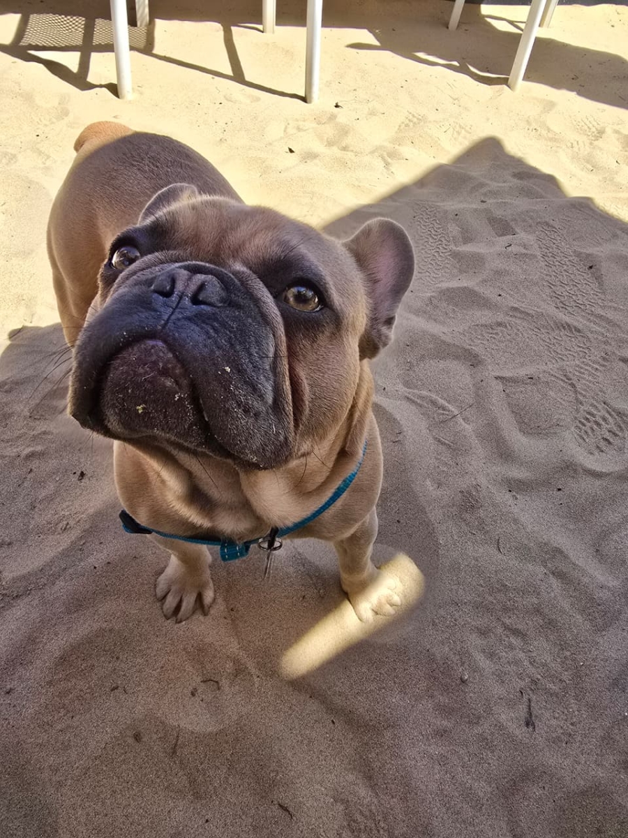 4 Bedroom Property for Sale in Outeniqua Strand Western Cape